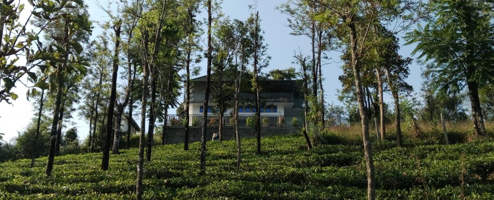 M R Holiday Home Vagamon Exterior foto